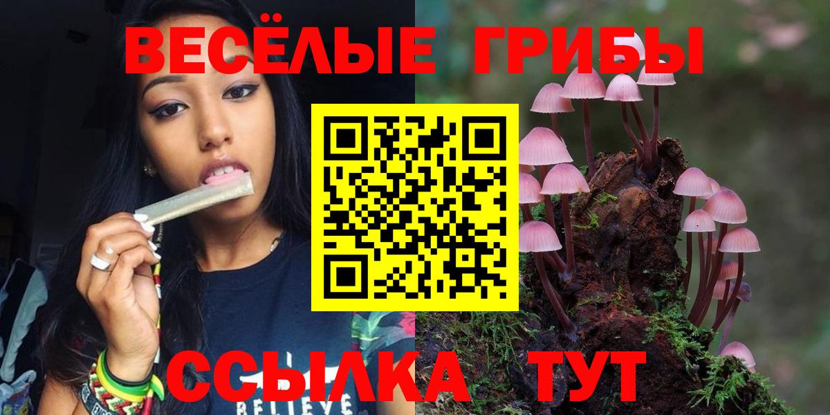 Галлюциногенные грибы Psilocybe  Галлюциногенные грибы MAGIC MUSHROOMS  Вход с VPN  Орёл 